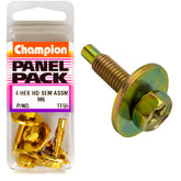 Champion - HEX SET SCREWS-SEMS-HEX-COMBO DVE-FLAT WASHER-PILOT-M6x25mm | TF55